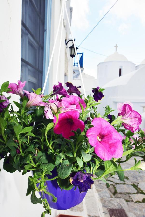 Thomas Traditional House In Chora Amorgos Exterior photo